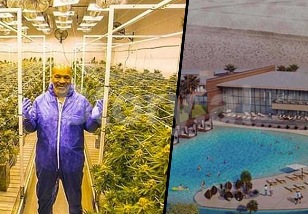Për të gjithë fansat e kanabisit, Mike Tyson ndërton resortin e ëndrrave!