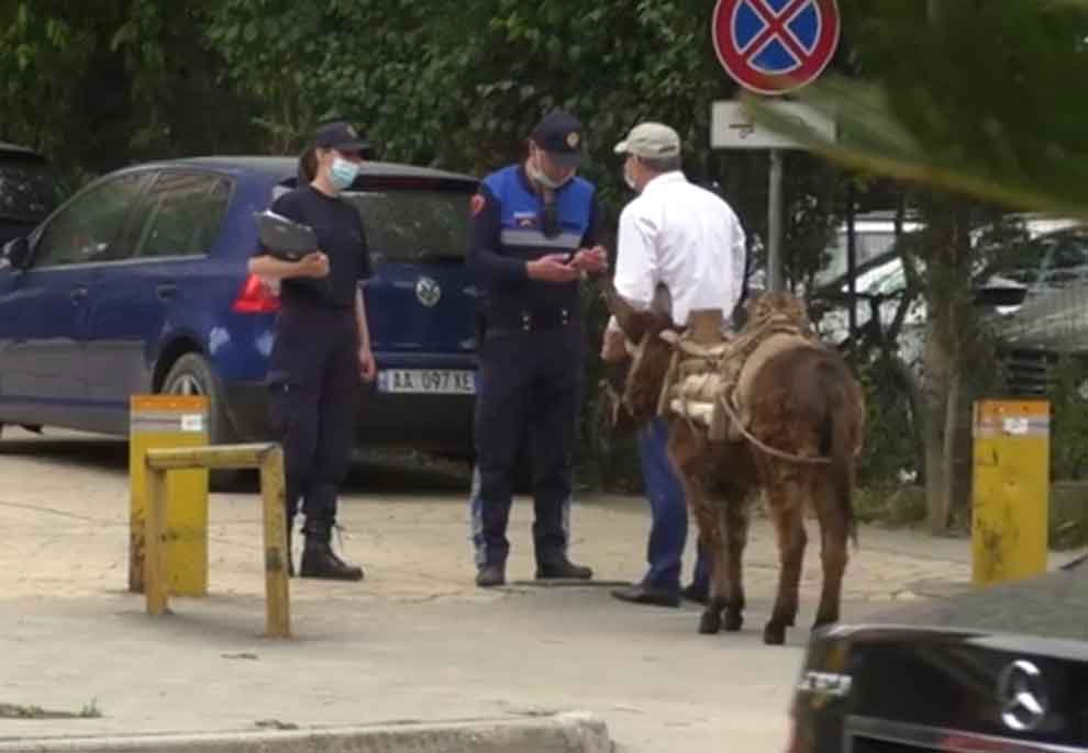 Ismet Drishti shëtit me gomarin nëpër Tiranë, përplaset me policinë tek liqeni: E kam kafshë shoqërimi! Ku e di që nuk jeni kriminela?