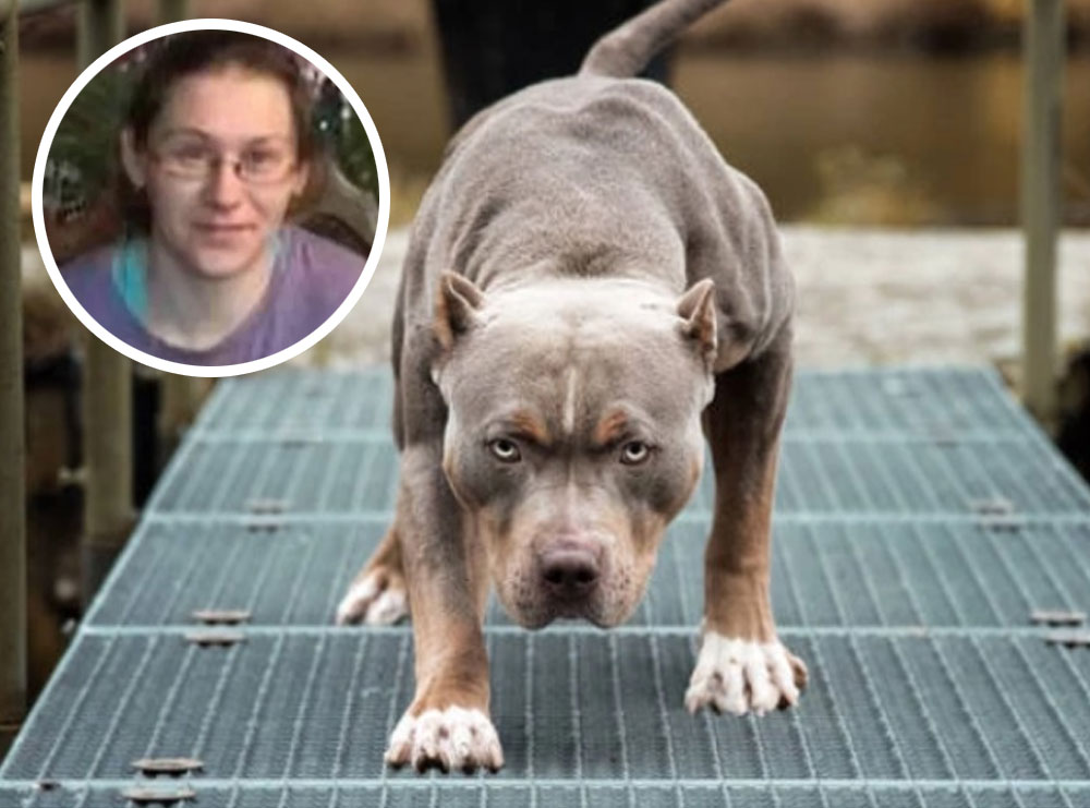 Ndërhyri për të shpëtuar të birin, qeni “PitBull” kafshon për vdekje nënën 35-vjeçare