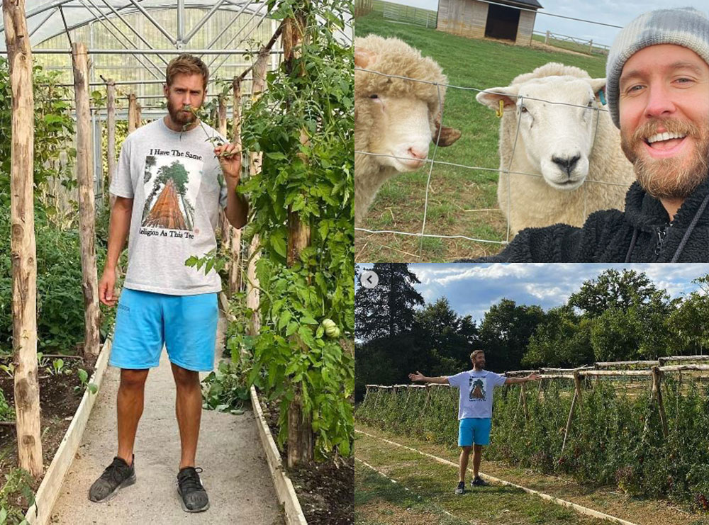 Calvin Harris heq dorë nga jeta e tij luksoze dhe blen një fermë në Ibiza