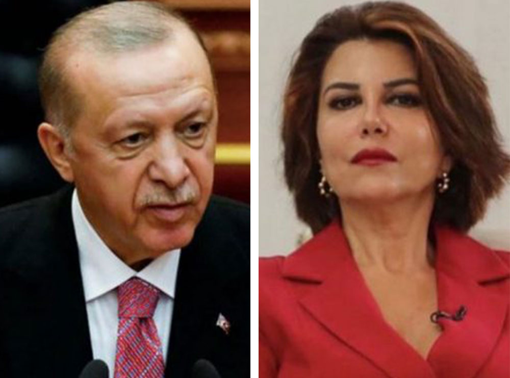 “Demi kur futet në pallat, nuk bëhet mbret. Por pallati bëhet stallë”. Erdogan ndëshkon gazetaren për ta bërë shembull
