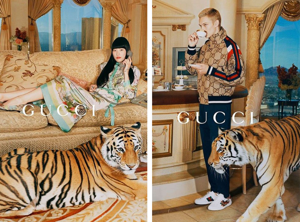 Fushata e re e markës “Gucci” përballet me kritika të shumta duke përdorur kafshë të vërteta për të festuar “Vitin Kinez të Tigrit”