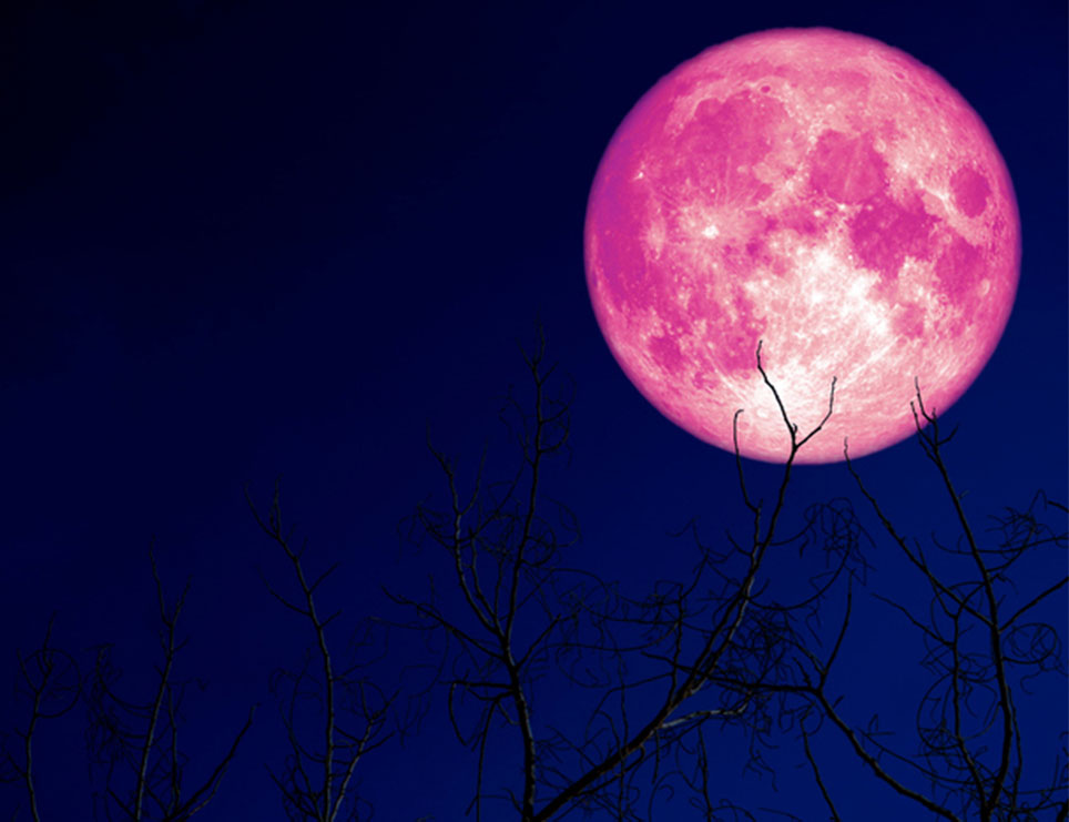 Gjatë fundjavës prisni të shikoni hënën e plotë rozë
