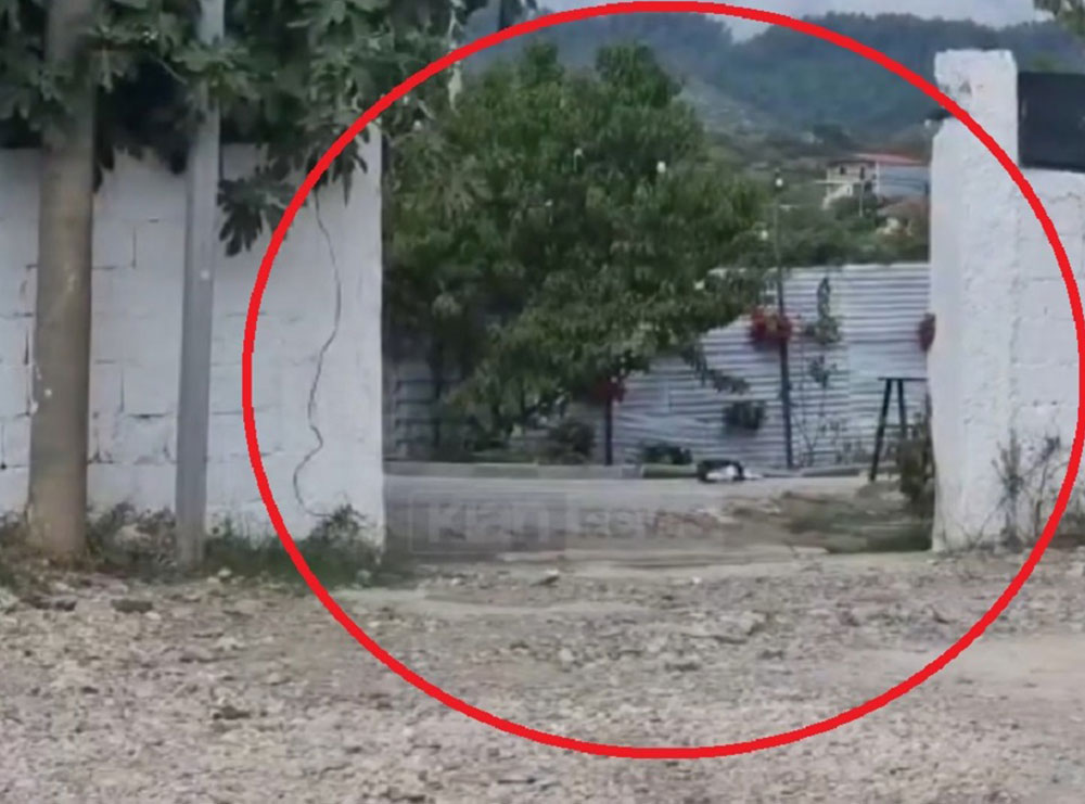 Makina hyn në oborrin e shtëpisë në Tiranë, përplas për vdekje 25-vjeçaren. Shoferi ishte i droguar