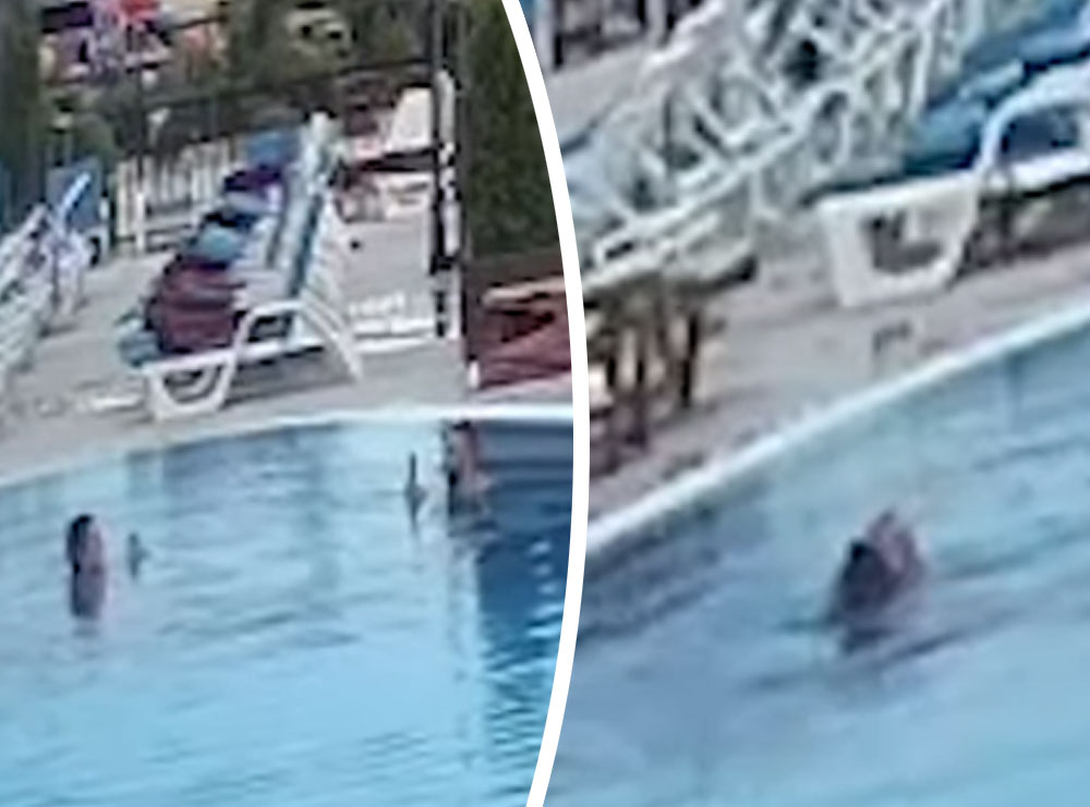 EKSKLUZIVE/ Dalin pamjet tronditëse, djali që e shoqëronte s’bëri asgjë, pishina nuk kishte përgjegjës: Si u la në mëshirë të fatit 25-vjeçarja në Tiranë