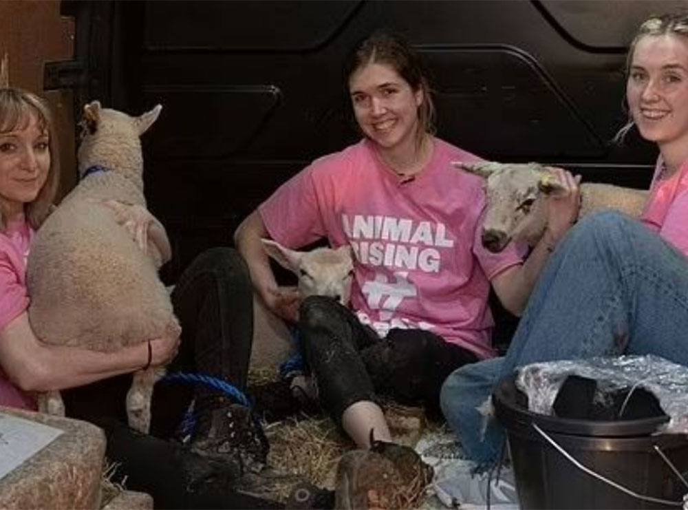 E pazakontë, aktivistet vegane vjedhin delet e mbretit Charles