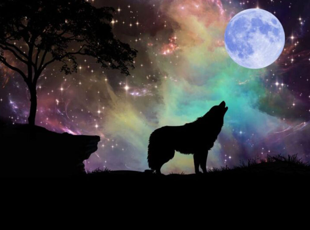 Çfarë është Hëna e Ujkut e 25 janarit!
