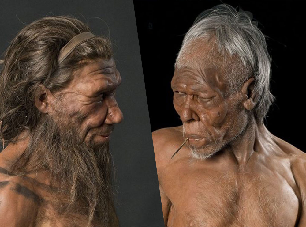 Zbulimi/ Homo Sapiens jetuan bashkë me Neandertalët 45 mijë vjet më parë